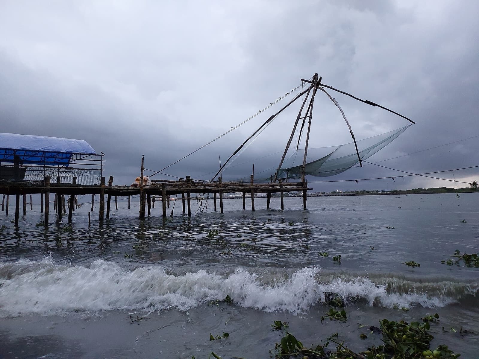 Kochi cityscape and visitor atmosphere in India