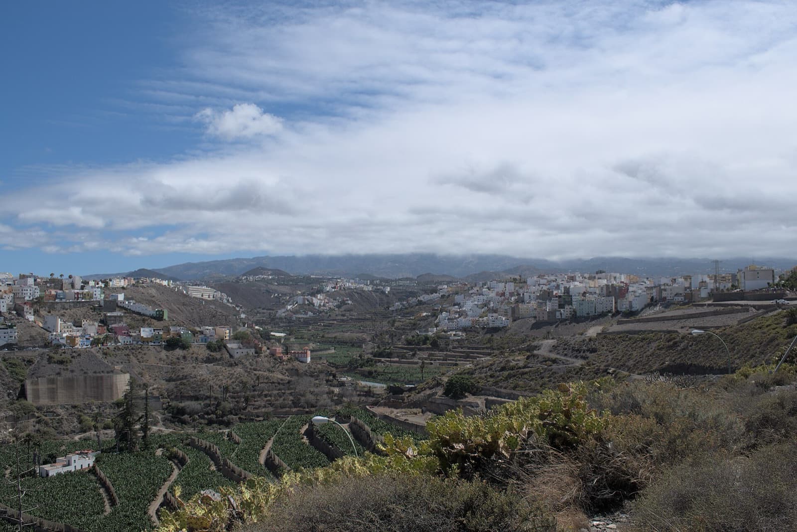 Las Palmas de Gran Canaria cityscape and visitor atmosphere in Spain